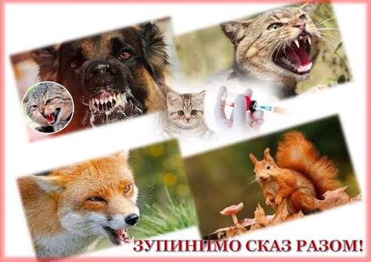 сказ